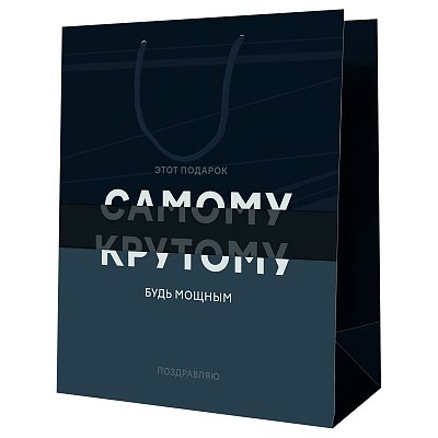Пакет подарочный 26×32×12см MESHU «Самому крутому», ламинированный