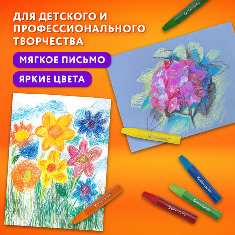Пастель масляная восковые мелки утолщенные 12 цветов, BRAUBERG PREMIUM