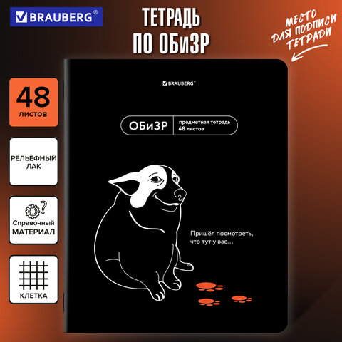 Тетрадь предметная МЕМЫ 48 л., TWIN-лак, ОБиЗР, клетка, подсказ, BRAUBERG
