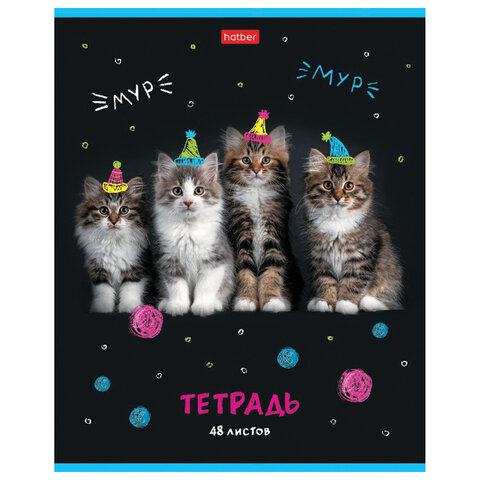 Тетрадь А5 48 л. HATBER скоба, клетка, глянцевая ламинация, «МУРчат Коты» (5 видов в спайке)