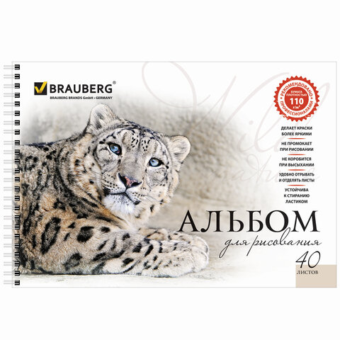 Альбомы для рисования А4 40 л., КОМПЛЕКТ 4 шт., гребень, обложка картон, BRAUBERG, 205×290 мм, «Хищники» (2 вида)