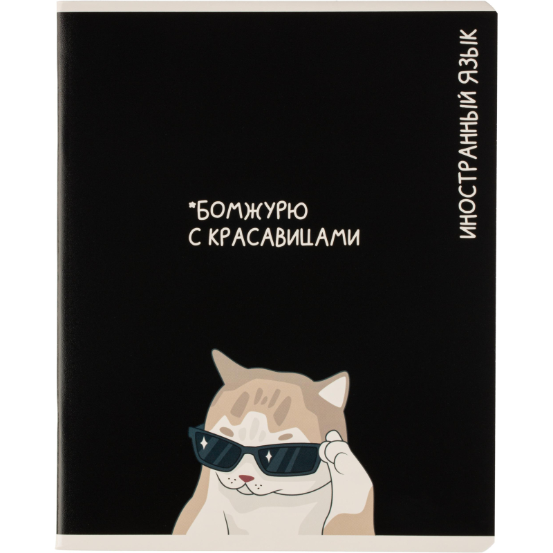 Тетрадь предметная КОТЫ МЕМЫ, набор12 шт.48л, А5+, клетка/линия/71449