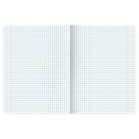 Тетради ДЭК А5 48 л. КОМПЛЕКТ 5 шт. BRAUBERGклеткаматовая ламинацияфольга«Pastel Art»404678