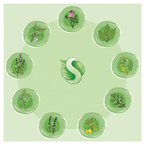 Средство для мытья пола и поверхностей 5 л SYNERGETIC, c дезинфицирующим эффектом, биоразлагаемое