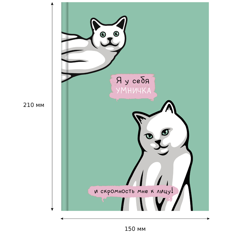 80 5 7 BG 100 2 1176785 Deloks