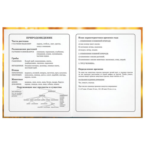 Дневник 1-4 класс 48 л., твердый, ЮНЛАНДИЯ, выборочный лак, с подсказом, «Лисёнок»