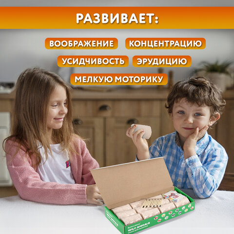 Набор для раскопок «Дикие животные»12 видовкарточкиинструментыBRAUBERG KIDS665128