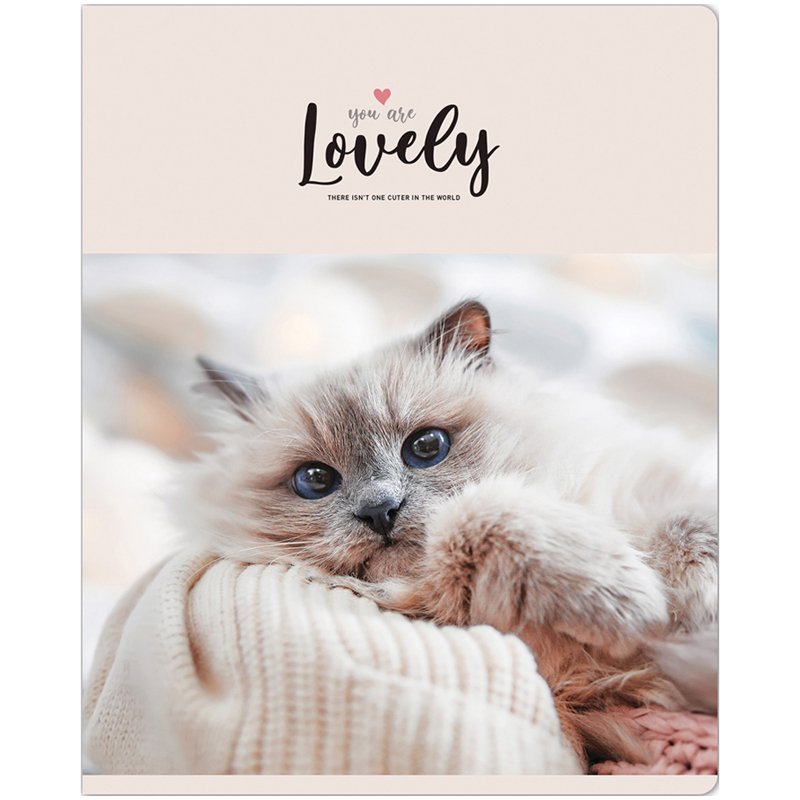 Тетрадь 48л., А5, клетка ArtSpace «Питомцы. Lovely Cat», эконом