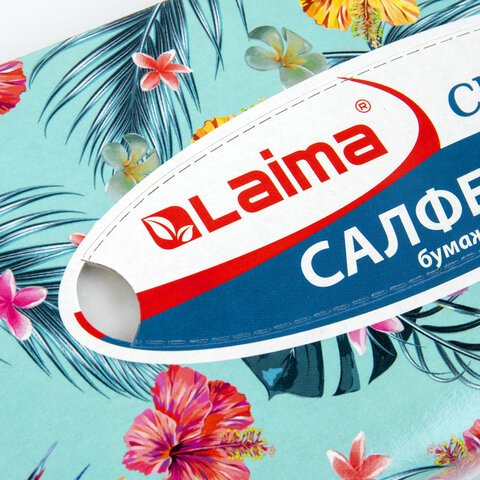 Салфетки косметические 100 шт. в картонном боксе 2-слойные, LAIMA «Everyday», 20×20 см