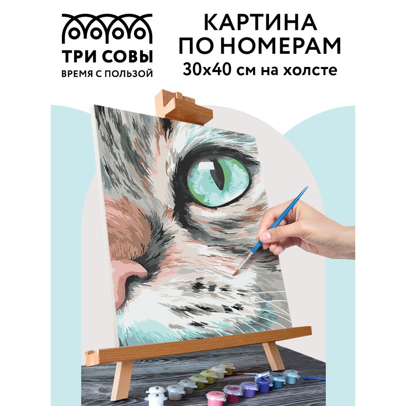 Картина по номерам на холсте ТРИ СОВЫ «Кошачий взгляд», 30×40, с акриловыми красками и кистями