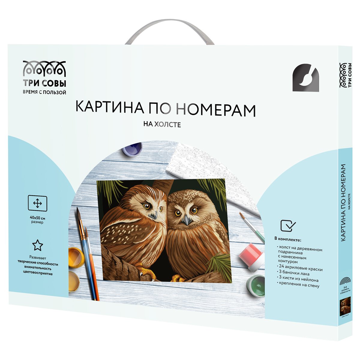 Картина по номерам на холсте ТРИ СОВЫ «Две совы», 40×50, с акриловыми красками и кистями