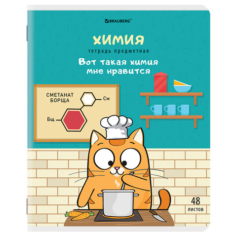 Тетради предметные, КОМПЛЕКТ 12 ПРЕДМЕТОВ, КОТ-ЭНТУЗИАСТ, 48л, TWIN лак, BRAUBERG