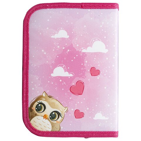 Пенал ПИФАГОР1 отделениеполиэстер19×13 см«Cute owls»271011