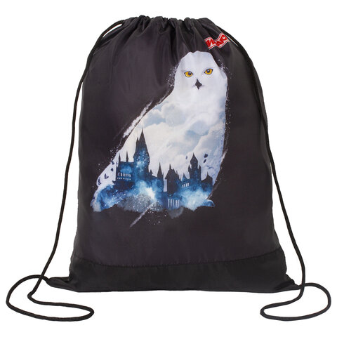 превью Сумка для обуви ПИФАГОР1 отделение42×34 см«White Owl»270182