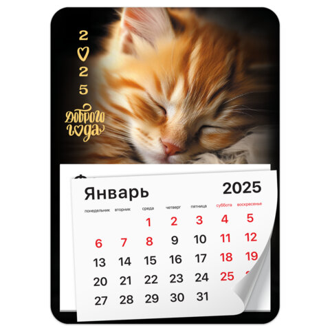 Календарь отрывной на магните 2025, BRAUBERG, 130×180мм, склейка, Котик