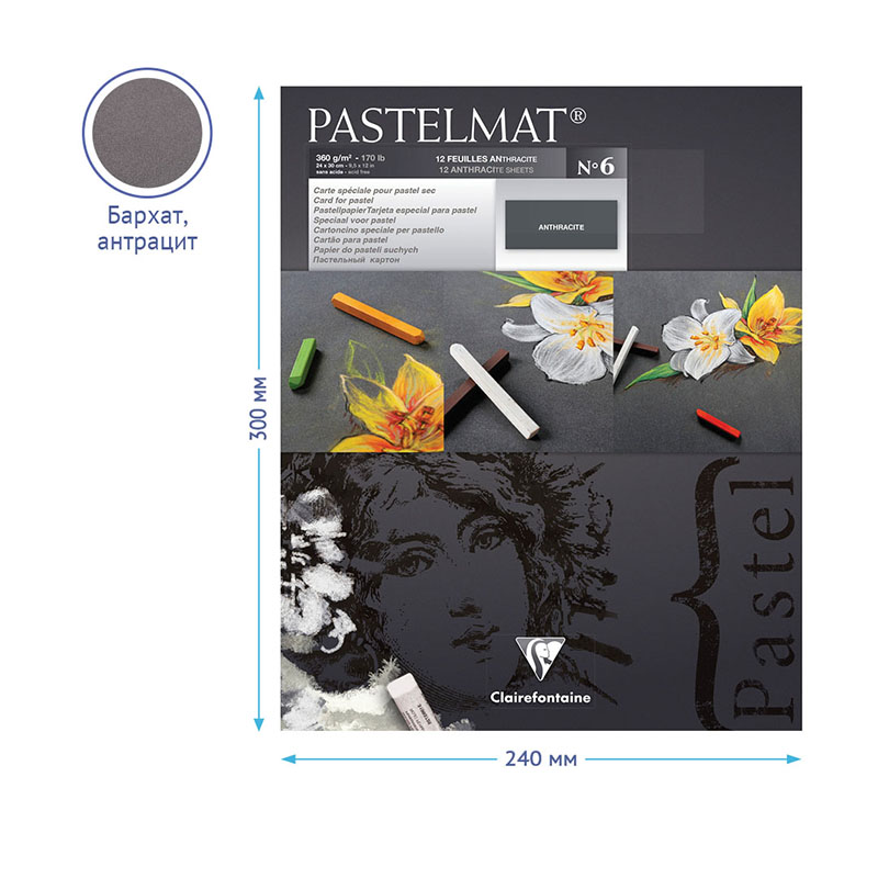 Альбом для пастели 12л. 240×300мм на склейке Clairefontaine «Pastelmat», 360г/м2, бархат, антрацит