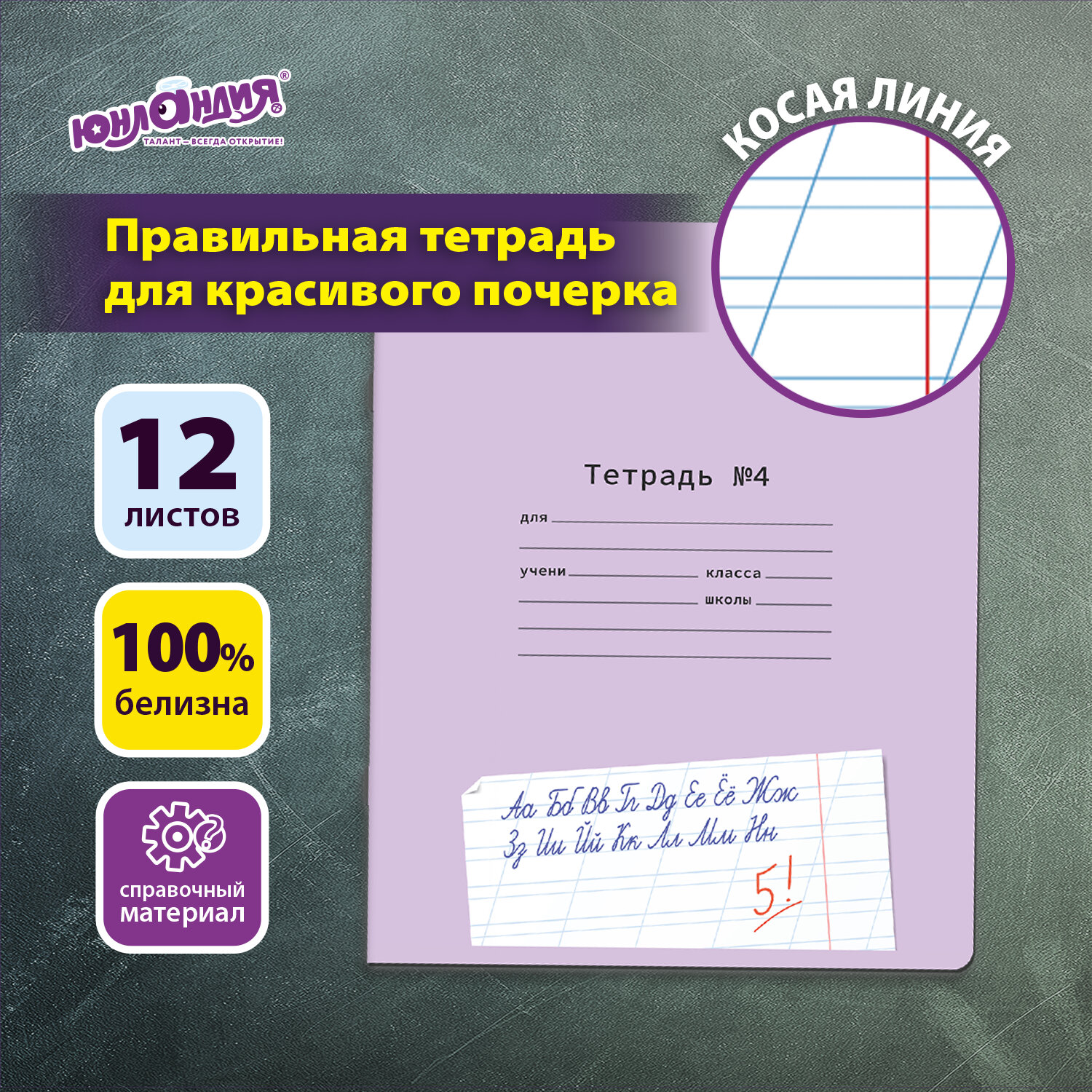Тетрадь УЧУСЬ ПИСАТЬ № 4 12 л. косая линия, со справочным материалом, обложка картон, ЮНЛАНДИЯ