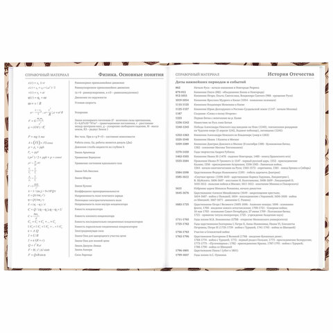 Дневник 5-11 класс 48 л., твердый, BRAUBERG, выборочный лак, с подсказом, «Магия»