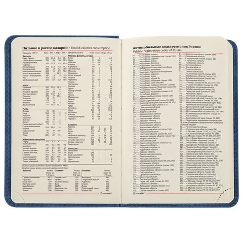 Ежедневник недатированный МАЛЫЙ 100×150 мм А6 BRAUBERG «Status», под кожу, 160 л., синий