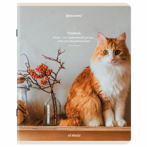 Тетрадь А5, 48 л., BRAUBERG, скоба, клетка, матовая ламинация, «Cats», (микс в спайке)