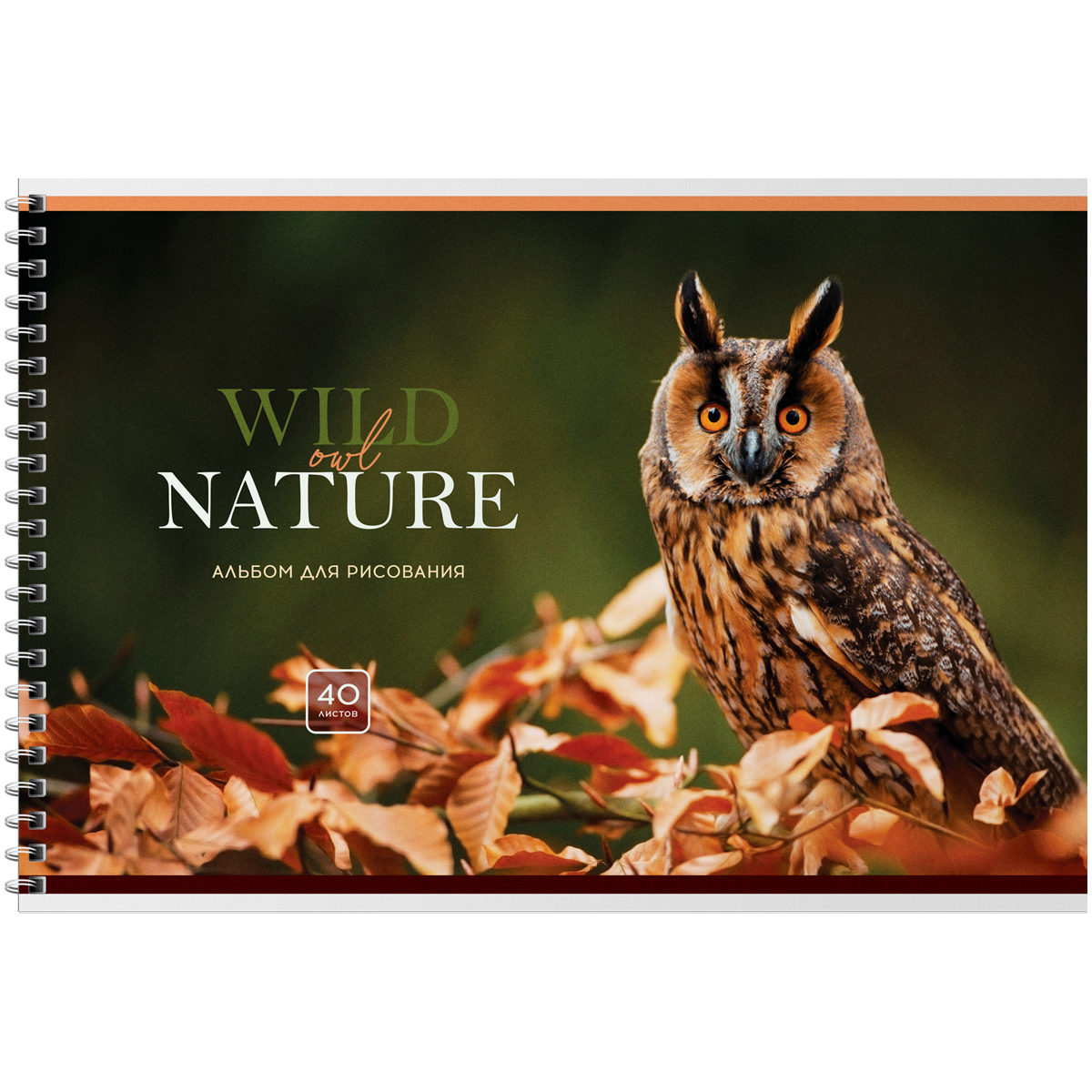 Альбом для рисования 40л., А4, на гребне BG «Wild nature»