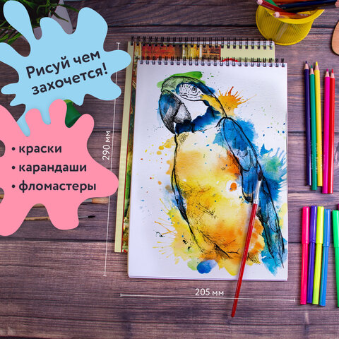 Альбомы для рисования А4 40 л., КОМПЛЕКТ 2 шт., гребень, обложка картон, BRAUBERG, 205×290 мм, «Город» (2 вида)