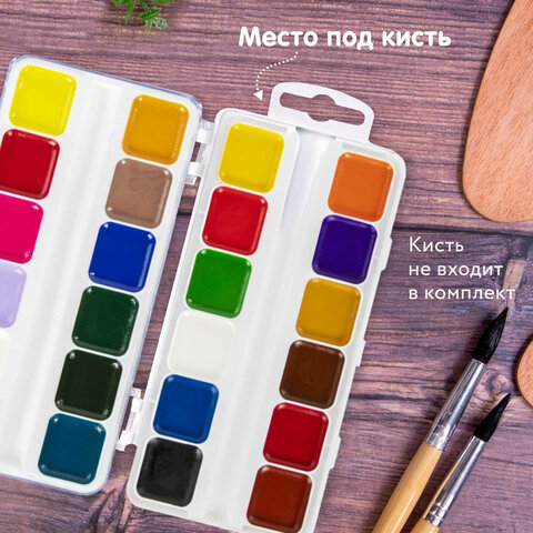Краски акварельные BRAUBERG «KIDS», медовые, 24 цвета, квадратные кюветы, пластиковый пенал