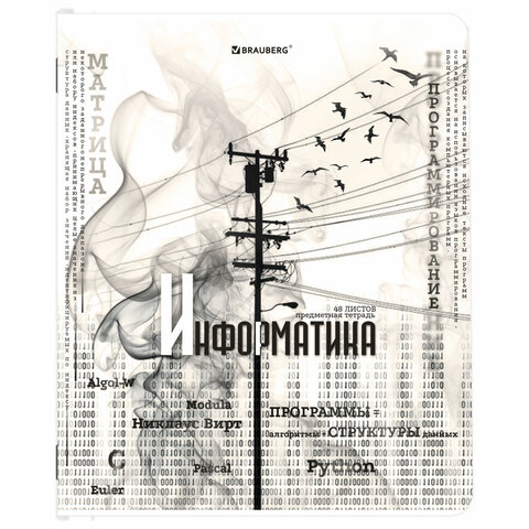 Тетради предметные, КОМПЛЕКТ 12 ПРЕДМЕТОВ, 48 л., матовая ламинация, BRAUBERG, «BLACK&WHITE»