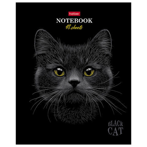 Тетрадь А5, 48 л., HATBER, скоба, клетка, матовая ламинация, 3D-лак, «Black Cat» (микс в спайке), 093159