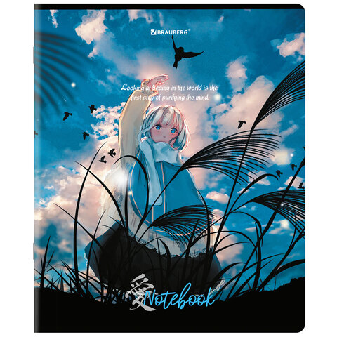 Тетради ДЭК А5 48 л. КОМПЛЕКТ 5 шт., BRAUBERG скоба, клетка, глянцевый лак, «Anime Dreams»