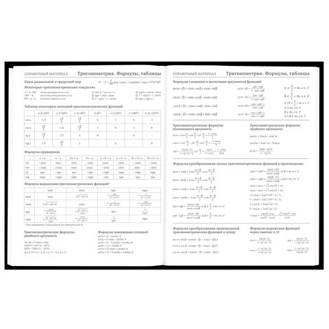 Дневник 5-11 класс 48 л., твердый, BRAUBERG, матовая ламинация, с подсказом, «Гуси»