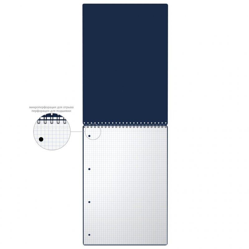 Блокнот А4 ErichKrause Megapolis А4 80 листов синий в клетку на спирали (210×297 мм)