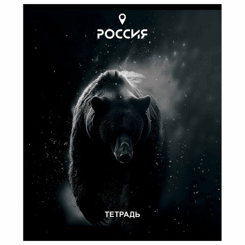 Тетрадь А5 48 л. ПЗБМ, скоба, клетка, Soft Touch, брайль, «Место Силы» (микс в спайке)