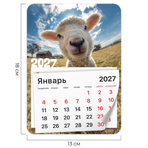 Календарь отрывной на магните на 2027 г., BRAUBERG, 130×180 мм, склейка, «Символ года»