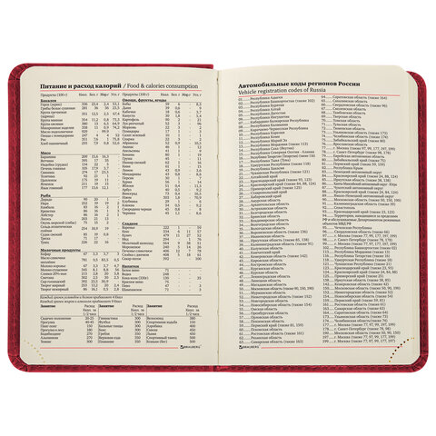 Ежедневник недатированный МАЛЫЙ 100×150 мм А6 BRAUBERG «Status», под кожу, 160 л., красный