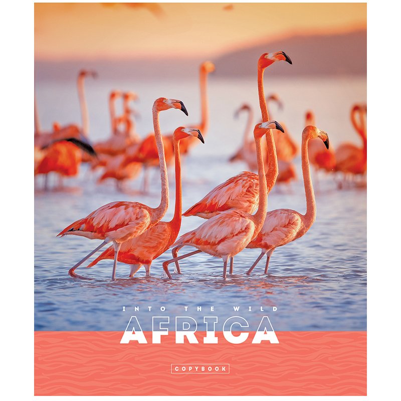 Тетрадь 96л., А5, клетка ArtSpace «Животные. Nature of Africa», эконом