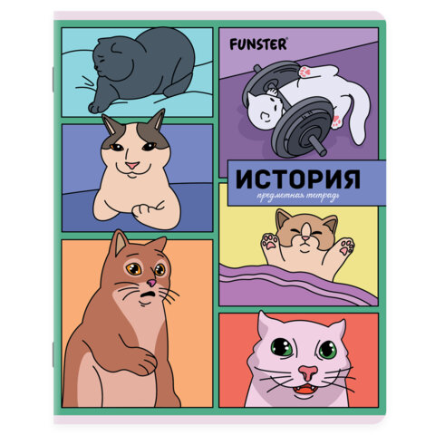 Тетради предметные, КОМПЛЕКТ 12 ПРЕДМЕТОВ, 48 л., TWIN-лак, FUNSTER (ФАНСТЕР), МЕМНЫЕ КОТЫ
