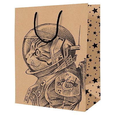 Пакет подарочный 11×14×6.5см ArtSpace «Space Cat», крафт