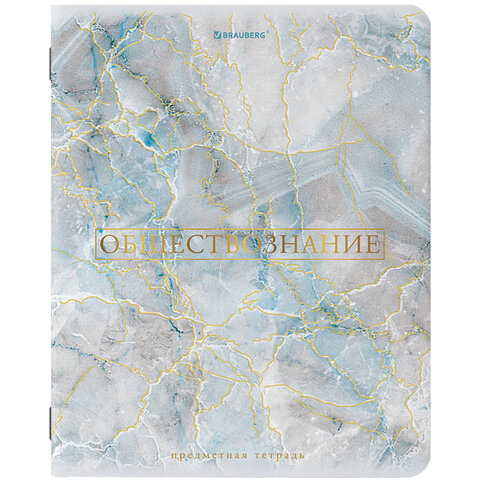 превью Тетрадь предметная «PASTEL» 48 л., SoftTouch, фольга, ОБЩЕСТВОЗНАНИЕ, клетка, BRAUBERG