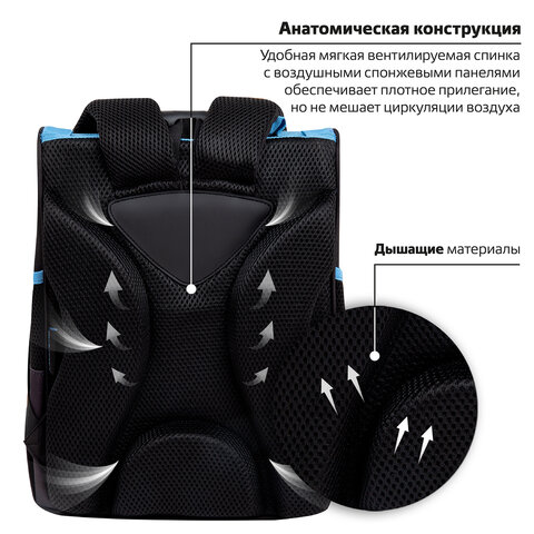 Ранец ПИФАГОР BASIC, 1 отделение, 3 кармана, эргономичная спинка, «Angry shark», 35×28х18 см