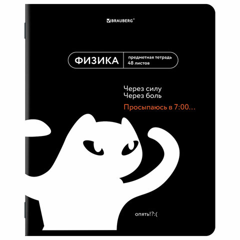 Тетради предметные, КОМПЛЕКТ 12 ПРЕДМЕТОВ, 48 л., TWIN лак, BRAUBERG «МЕМЫ»
