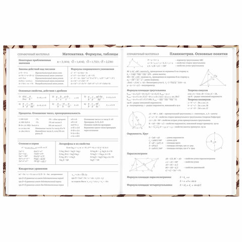 Дневник 5-11 класс 48 л., твердый, BRAUBERG, выборочный лак, с подсказом, «Магия»