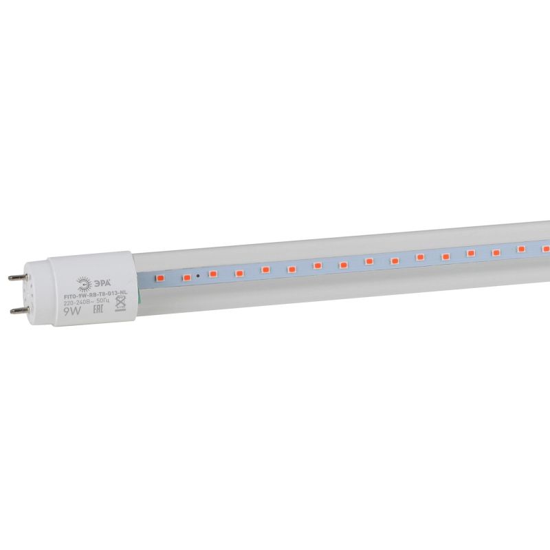 Фитосветильник лампа красно-син спектра ЭРА FITO-9W-RB-Т8-G13-NL (Б0042986)