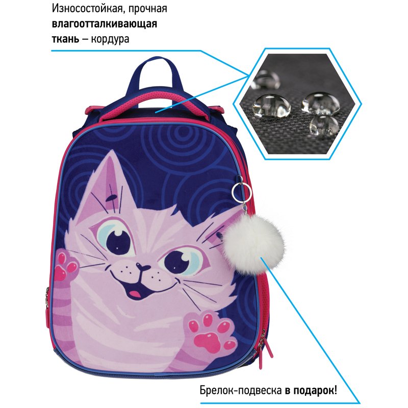 Ранец Berlingo Expert «Scary cat» 37×28×16см, 2 отделения, 2 кармана, анатомическая спинка