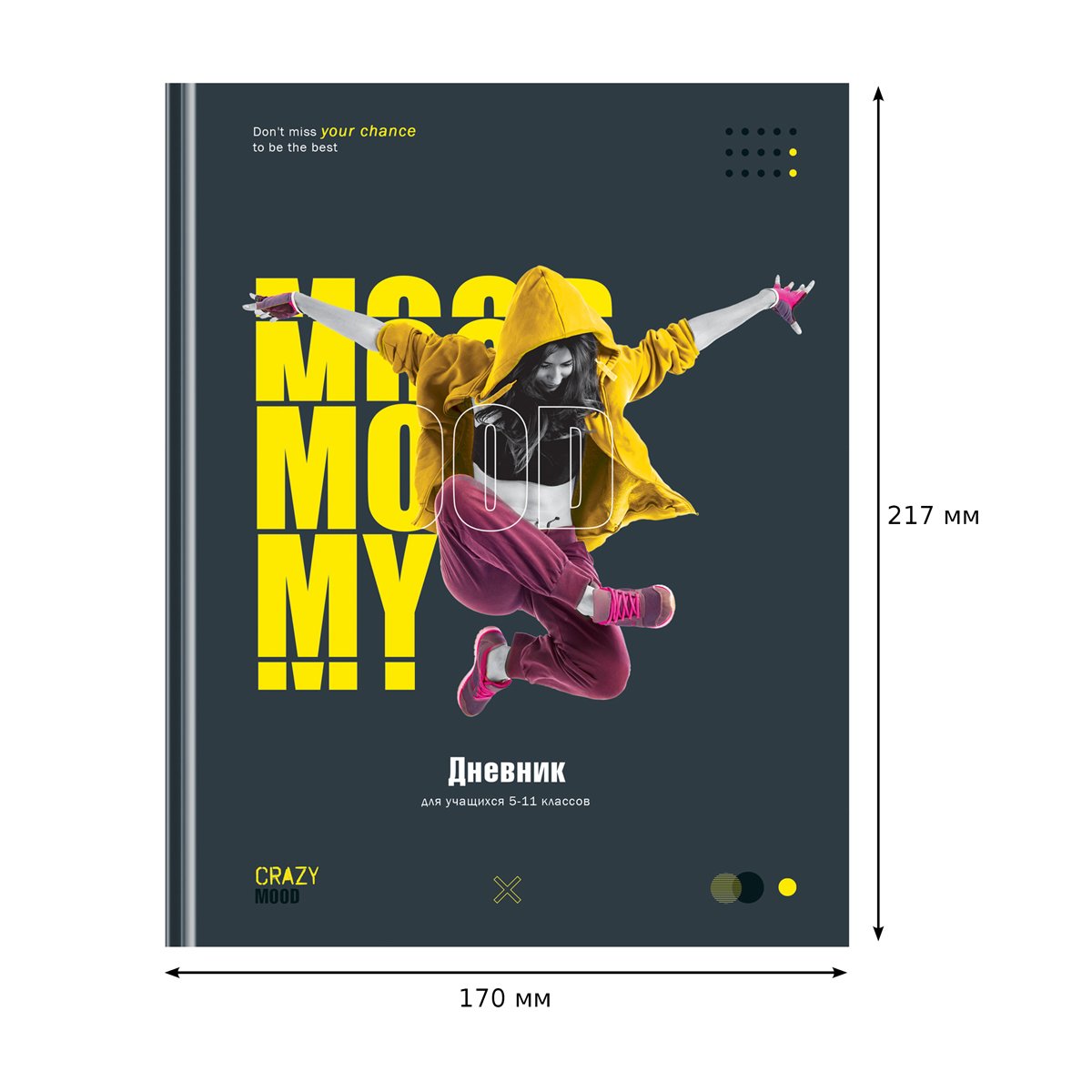 Дневник 5-11 кл. 48л. (твердый) BG «Crazy mood», матовая ламинация, выборочный лак