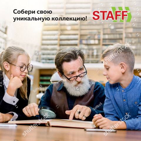 Альбом нумизмата для 297 монет и 6 бон (купюр) «OPTIMA», 230×270 мм, ПВХ, коричневый, STAFF