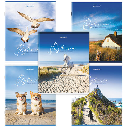 Тетрадь А5, 80 л., BRAUBERG, скоба, клетка, «By the Sea»
