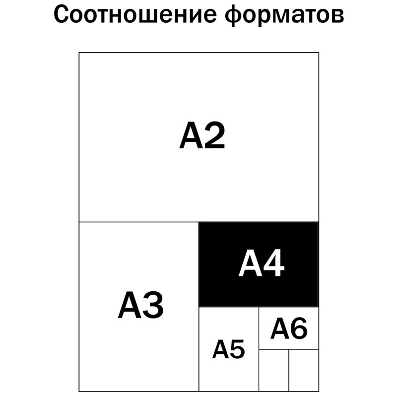 Альбом для рисования 12л., А4, на скрепке ArtSpace «Рисунки. Модные девчонки»