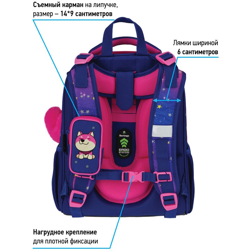 Ранец Berlingo Expert «Akita boy» 37×28×16см, 2 отделения, 2 кармана, анатомическая спинка