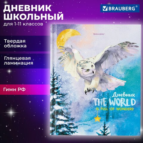 превью Дневник 1-11 класс 40 л., твердый, BRAUBERG, глянцевая ламинация, «Сова»
